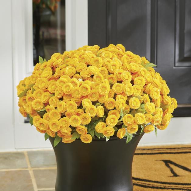 Mum Urn Filler | Grandin Road | Grandin Road