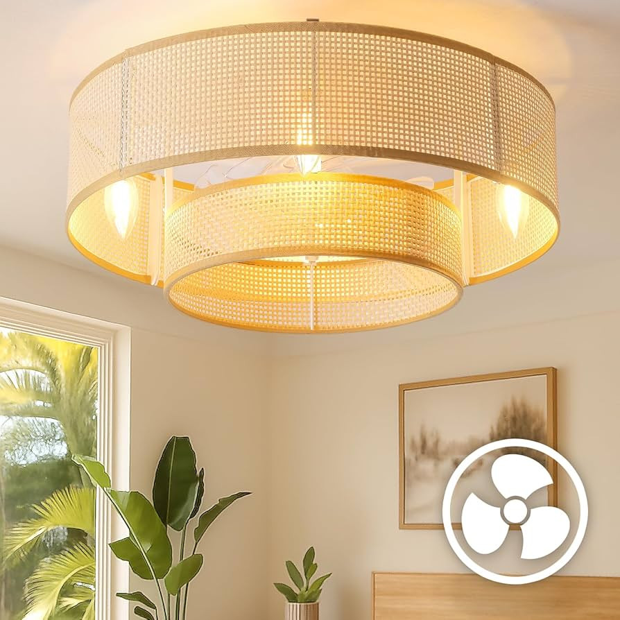 20'' Caged Ceiling Fans with Lights, Boho Flush Mount Ceiling Fan with Light, Rattan Bladeless wi... | Amazon (US)