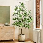 Faux Long Leaf Eucalyptus Potted Plant | West Elm (US)