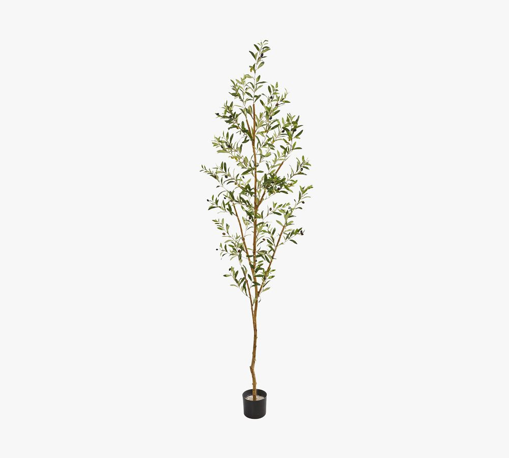 Faux Olive Tree | Pottery Barn (US)