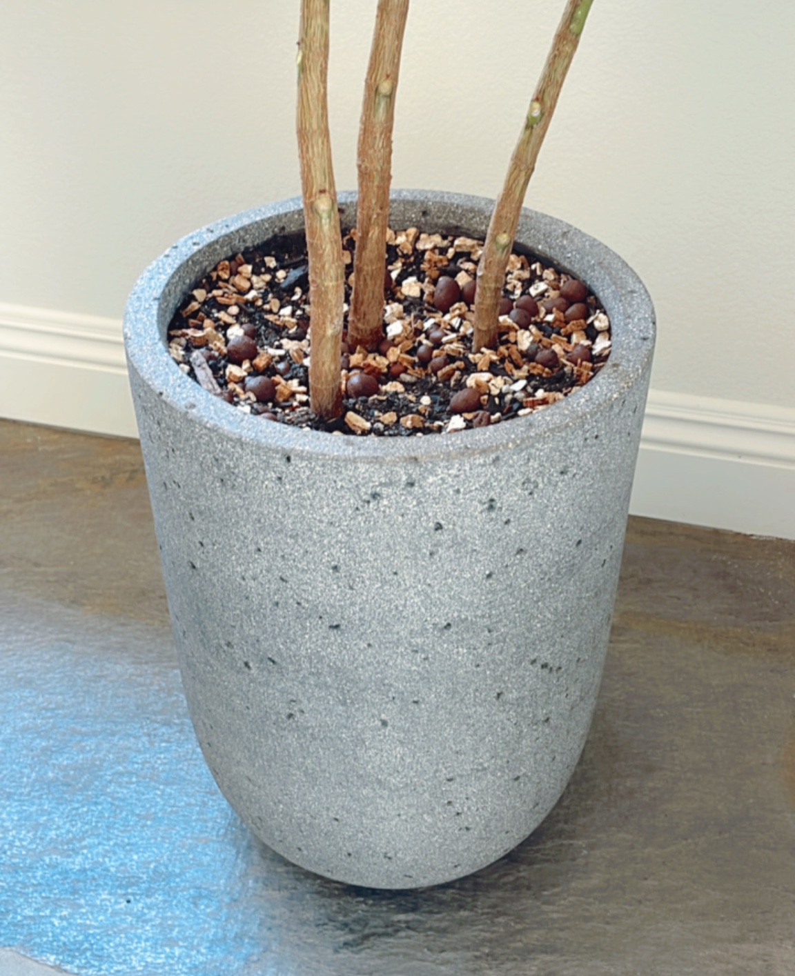 New composite planter for my rubber tree! It’s beautiful and not too heavy. Hole pre-drilled at bottom. 

#planter #rubbertree #outdoor #indoorplanter #ltkhome