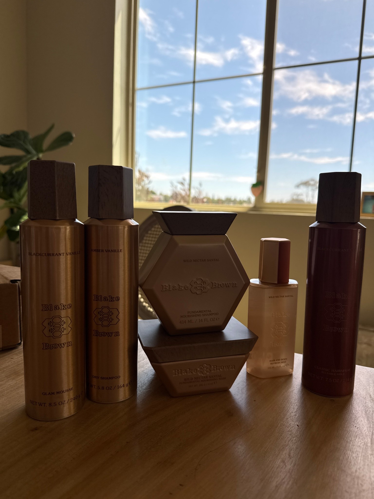 Blake brown haircare products! They all smell so good, from shampoo and conditioner to hair spray, dry shampoo and mousse! 

#LTKmorningroutine #LTKBeauty #LTKselfcare