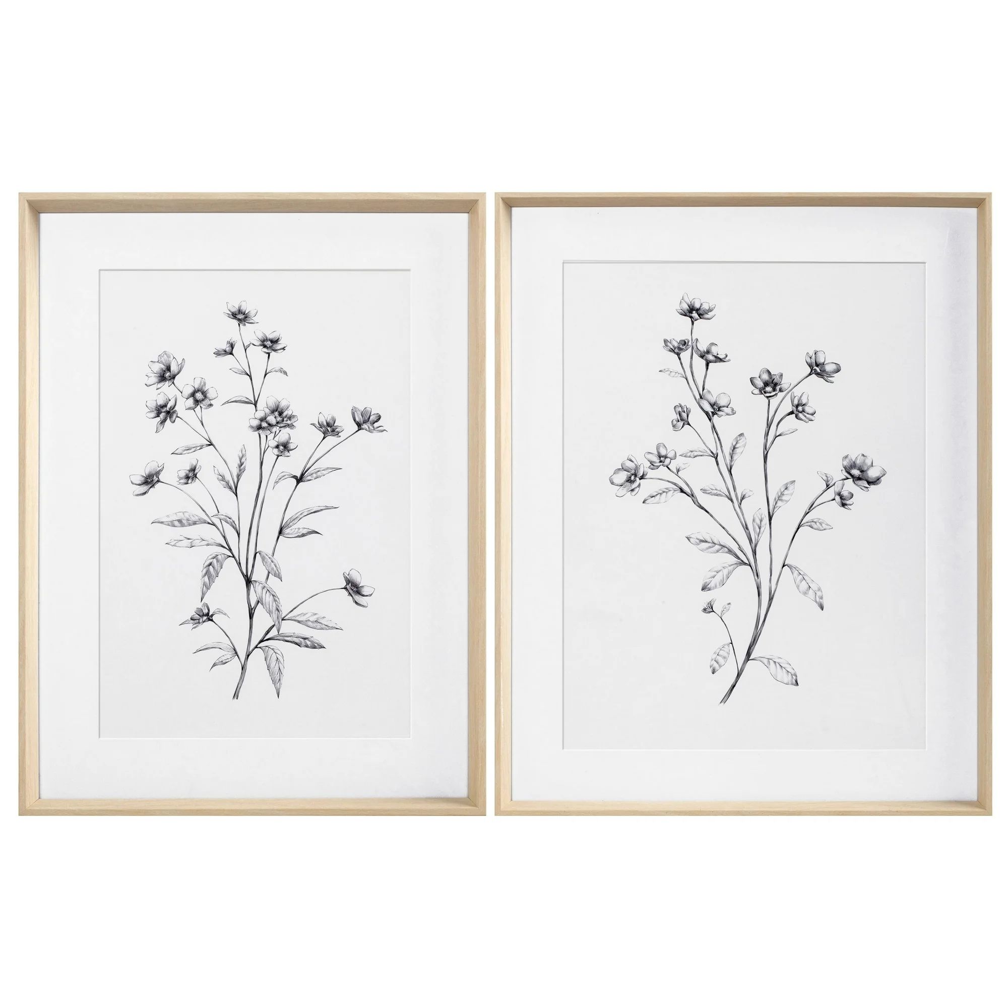 My Texas House Wild Daisy Spray Pencil Drawing 2 Pce Set Framed Art 18" x 24" | Walmart (US)