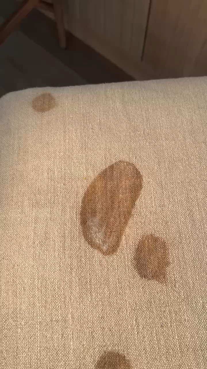 The best stain remover that will get rid of any tough stain!

#LTKHome #LTKKids #LTKFindsUnder50