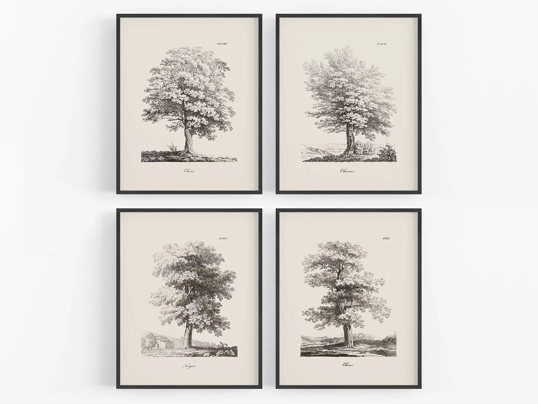 Set of Four Studies of Trees Art Prints / Farmhouse Style / Vintage Tree Art / Tree Sketch / Land... | Etsy (US)