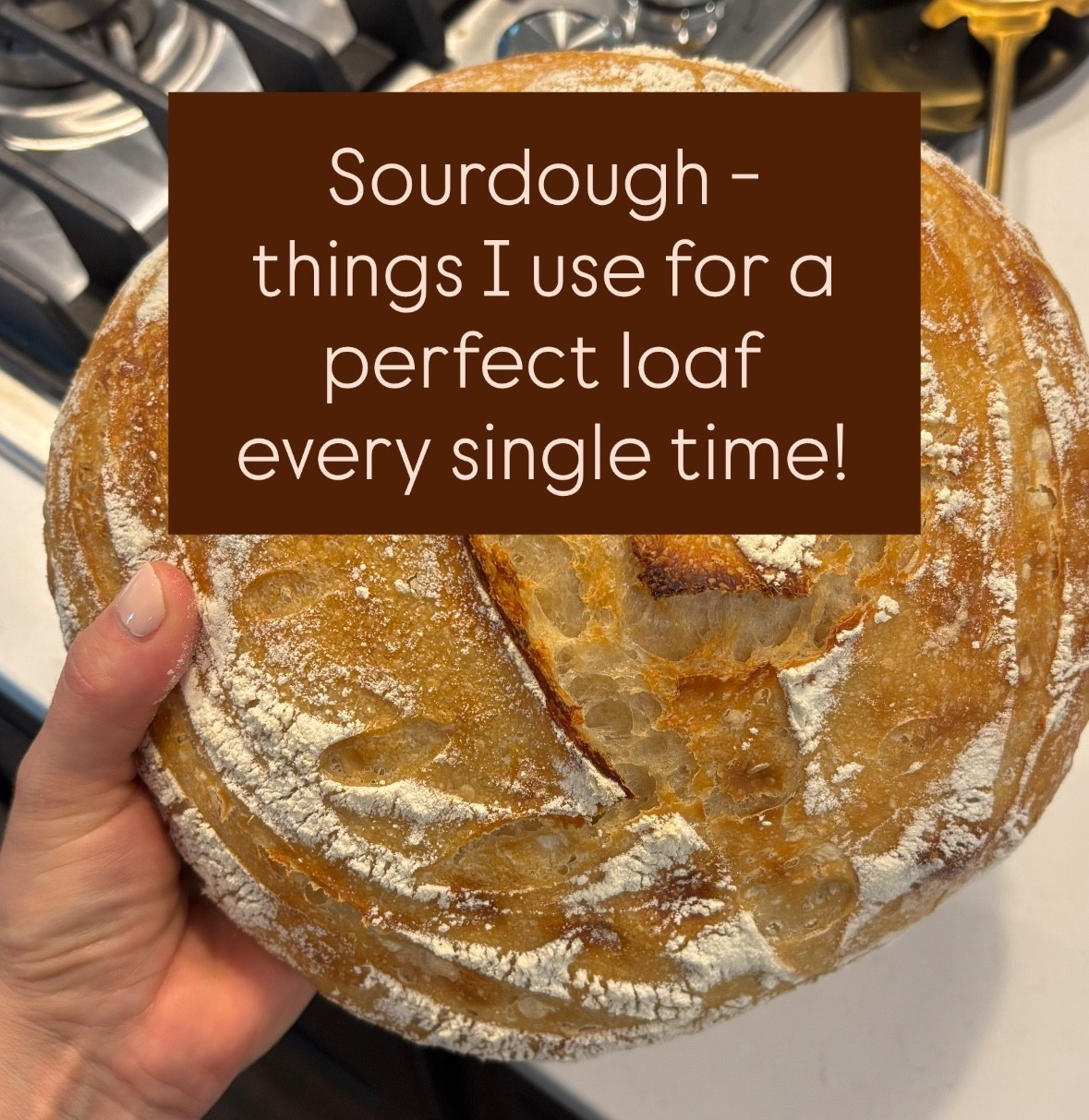 There’s just something so grounding about baking sourdough from scratch 🤍 From the smell filling the kitchen to that first warm slice with butter — it never gets old.

Over time, I’ve found a few tools that make all the difference in getting that perfect loaf every time — crisp crust, soft center, and just the right rise. 🍞

Here’s everything I use to keep my sourdough routine simple and consistent — from my favorite starter jar to a non-toxic Dutch oven and natural linen proofing baskets. Tap to shop the exact items that make sourdough day a little more magical ✨

#SourdoughLove #FromScratchLiving #NonToxicKitchen #BalancedHome #HomesteadVibes #BakingFromScratch #HealthyLiving #LikeToKnowItHome #RealFoodMama

#LTKSeasonal #LTKHome