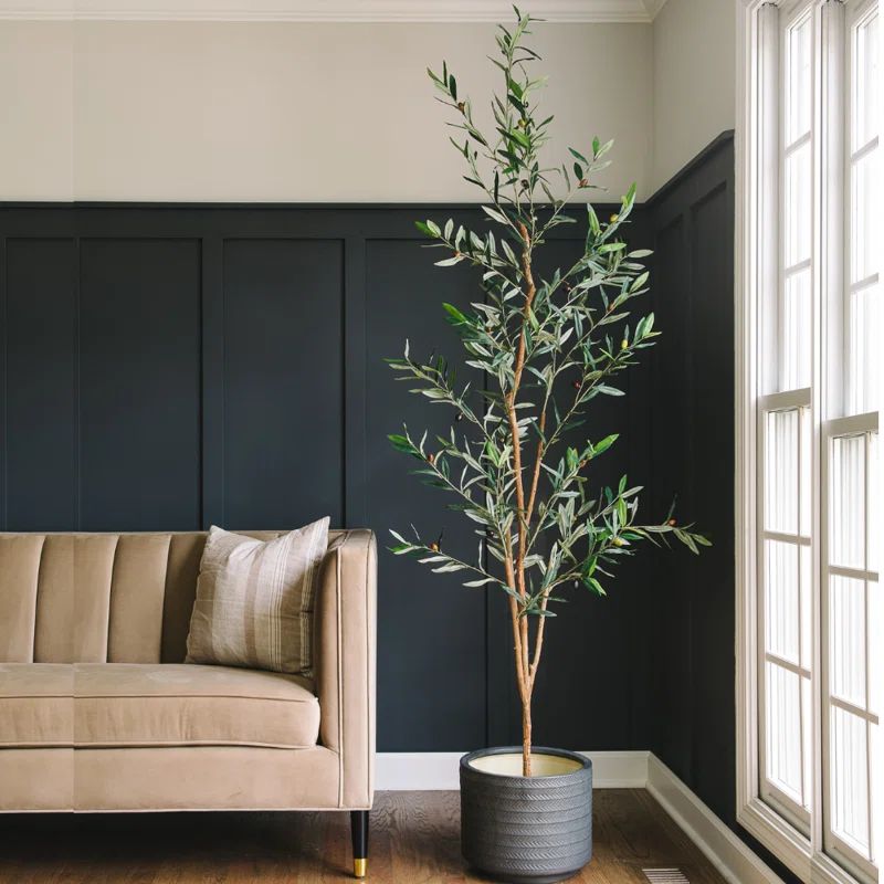 Primrue Faux Olive Tree in Pot & Reviews | Wayfair | Wayfair North America