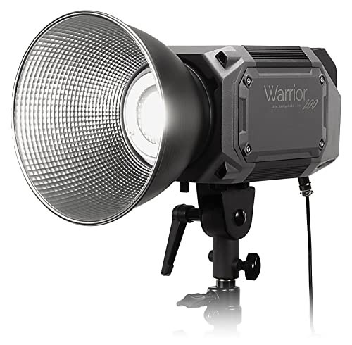 Fotodiox Pro Warrior 200D Daylight LED Light - High-Intensity 200W Daylight Color (5600k) LED Light, 5600k Light for Still and Video | Amazon (US)