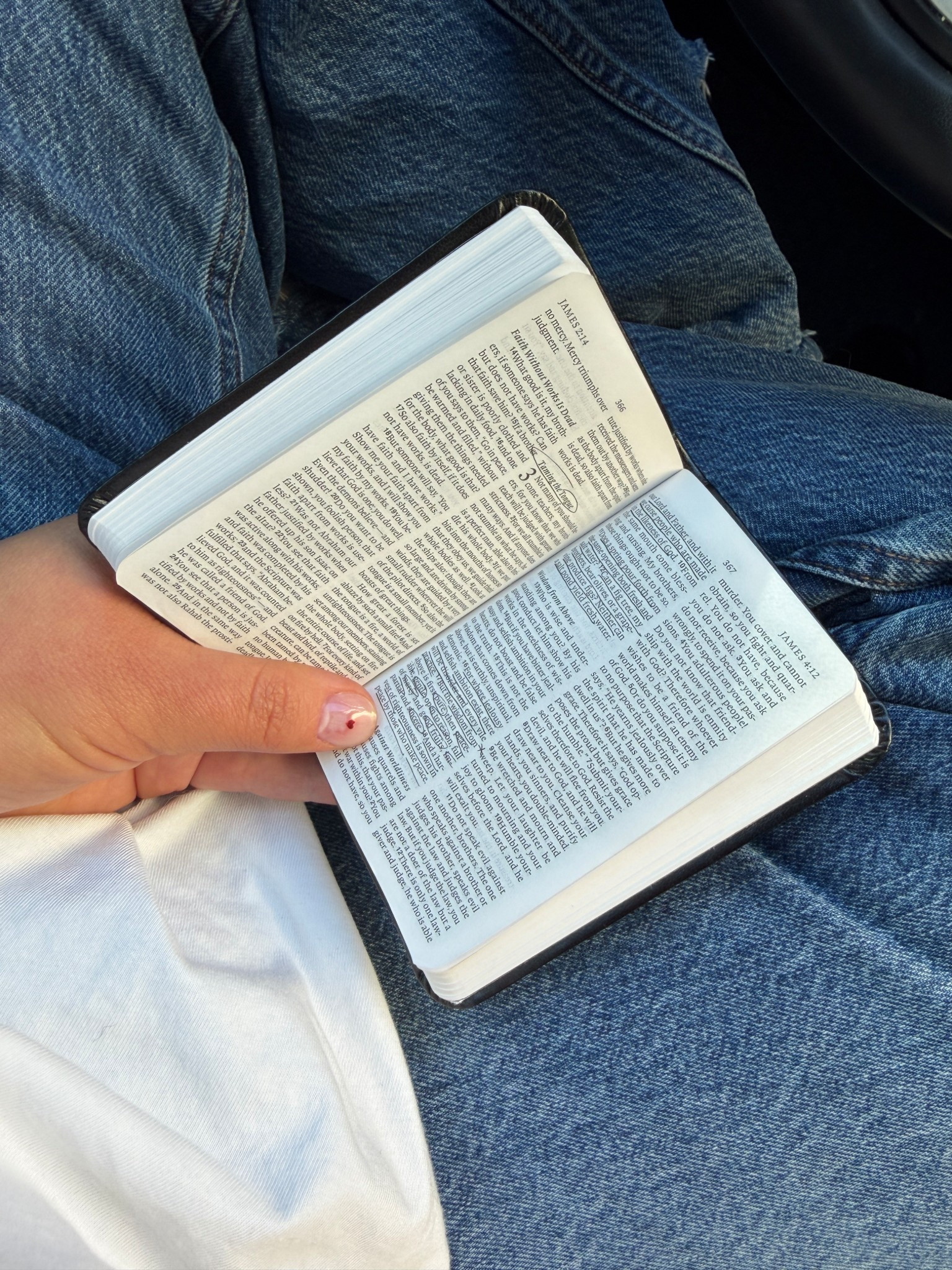 My favorite in the go essential

Bible, travel Bible, essentials 