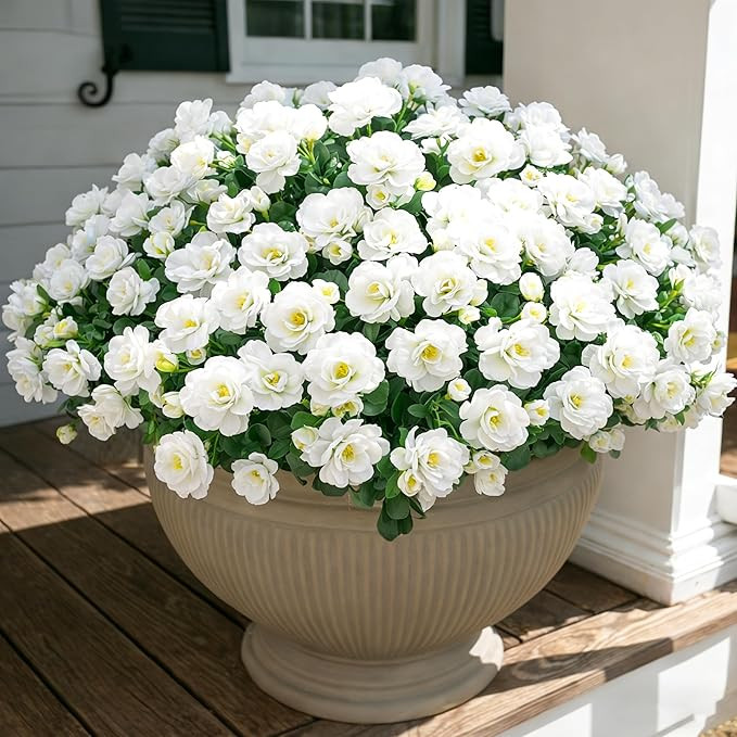 Ivydale Artificial Fake White Flowers Plants for Spring Outdoor Outside, Faux Silk Camellia UV Re... | Amazon (US)