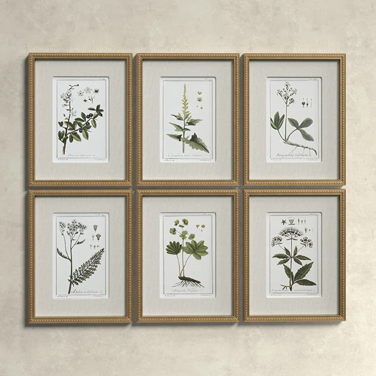 Three Posts™ Botanical Study' - 6 Piece Picture Frame Graphic Art Print Set on Paper | Birch La... | Wayfair North America