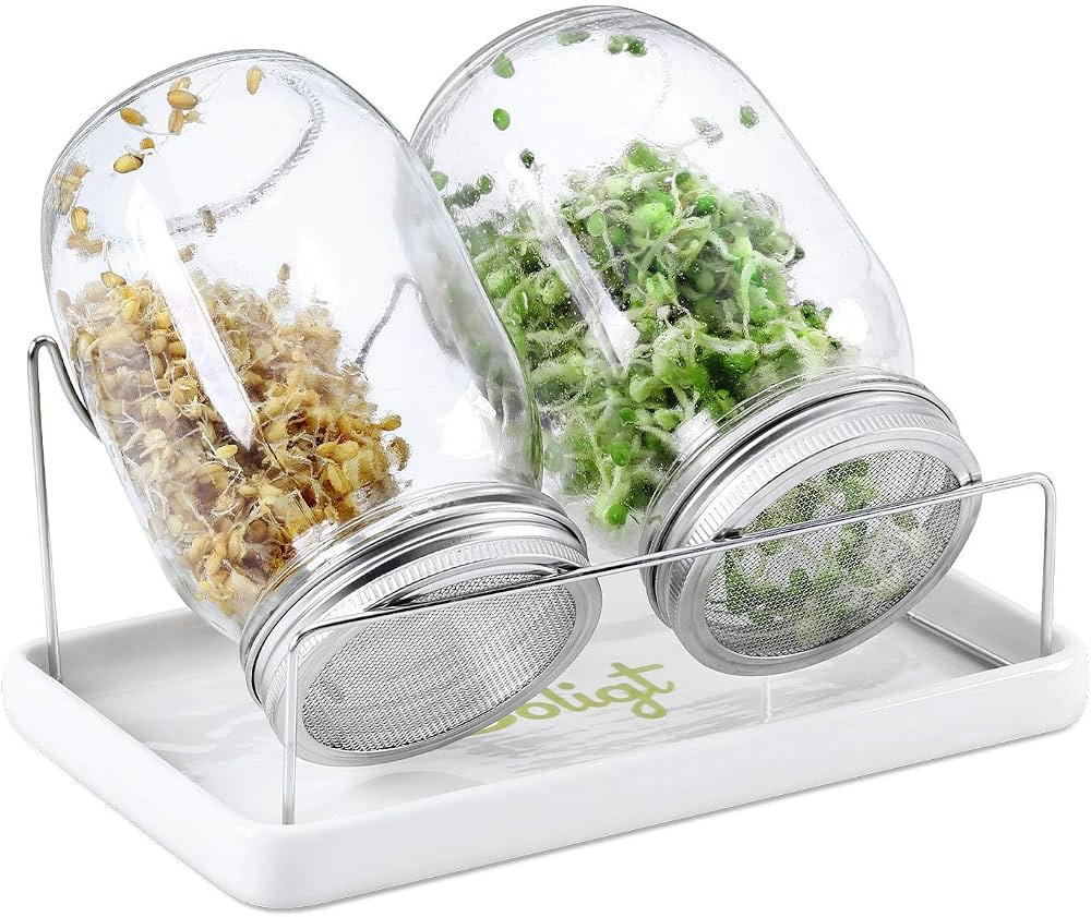 Complete Mason Jar Sprouting Kit - 2 Wide Mouth Quart Sprouting Jars with 316 Stainless Steel Spr... | Amazon (US)