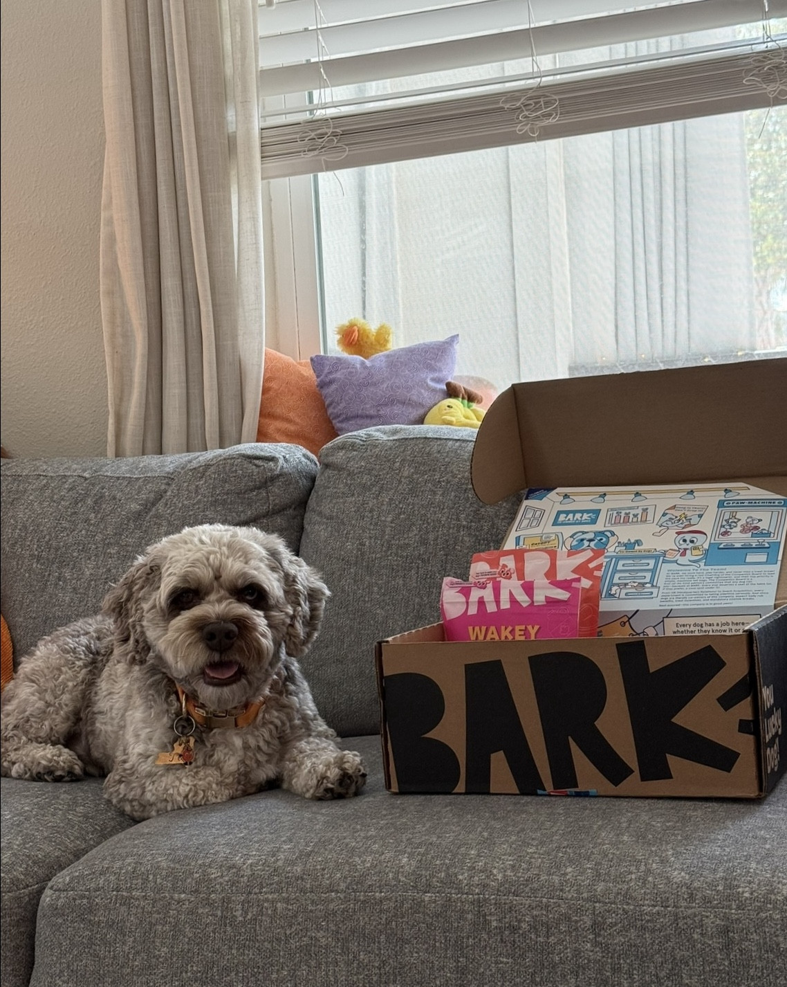 Theo’s BarkBox delivery = the most exciting part of his month 🤍 Every toy and treat in this post was carefully tested and fully approved by the CEO himself.

This month’s BarkBox was stacked—and it’s not just about fun. Bark is officially flipping the script and inviting pups to co-own the brand. Theo is now part of the Dog Committee, helping shape the future of play!

Everything featured here is linked below so your pup can enjoy the exact box Theo did.

#ad #BarkPartner #ltkpet #dogcommittee #barkbox #theoapproved @shop.ltk