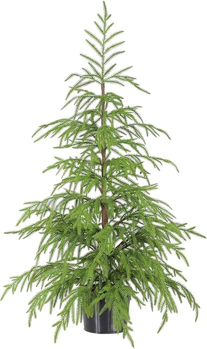 WBHome 3ft Tabletop Artificial Norfolk Pine Tree - 36" Faux Tree Potted Green for Front Porch Chr... | Amazon (CA)