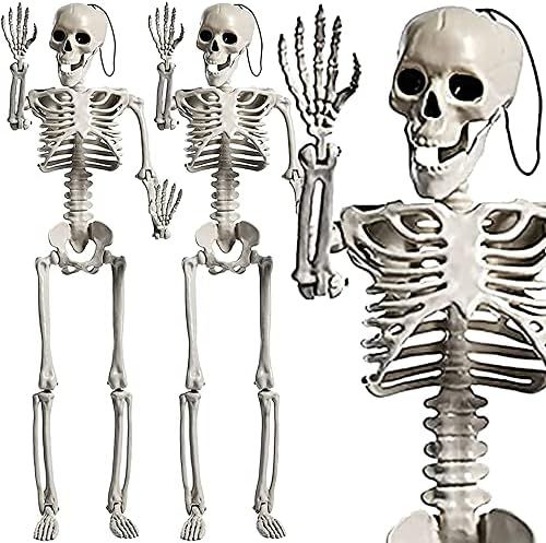 CPHBO 2 Pack 24 Inches Halloween Skeleton Full Body Posable Movable Jonints for Halloween Decorat... | Amazon (US)