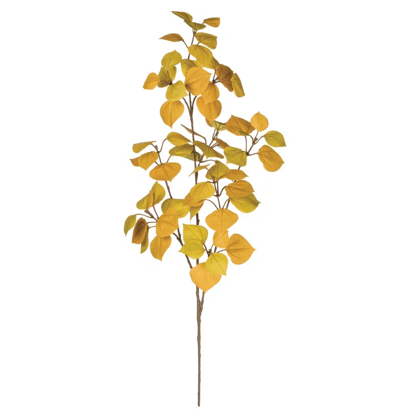 Freeport Park® Kanode Aspen Arrangement & Reviews | Wayfair | Wayfair North America