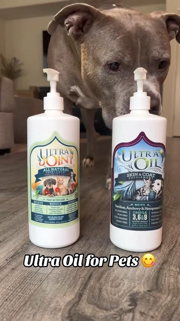 Amazing supplement for dogs! 


#LTKPets #LTKFamily #LTKHome