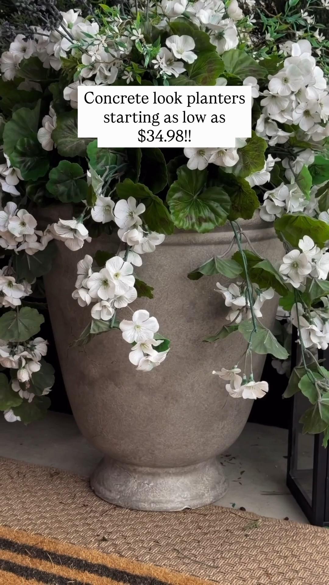 I couldn’t wait until I got the porch cleaned up for the season to share these large concrete look planters with you… or else they’d be sold out! 😍 

They definitely give a high-end look, without a high-end price tag. Double win. 🙌🏼 

#homedecorfinds #affordablehomedecor #canadahome #springdecorfinds #lookforless 

#LTKcanada #LTKhome #LTKsummer