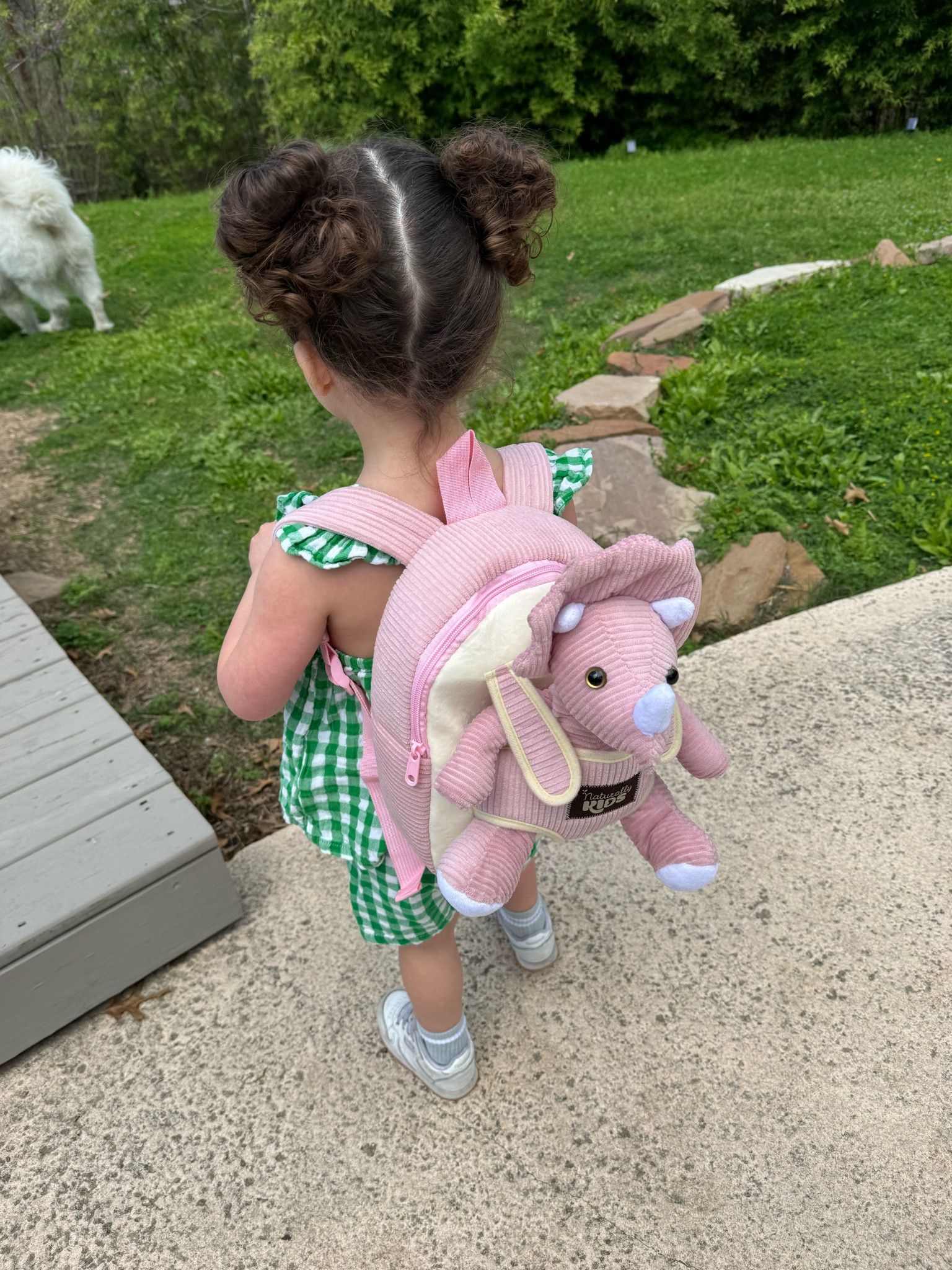 Toddler girl pink Dino backpack 

#LTKkids #LTKfamily