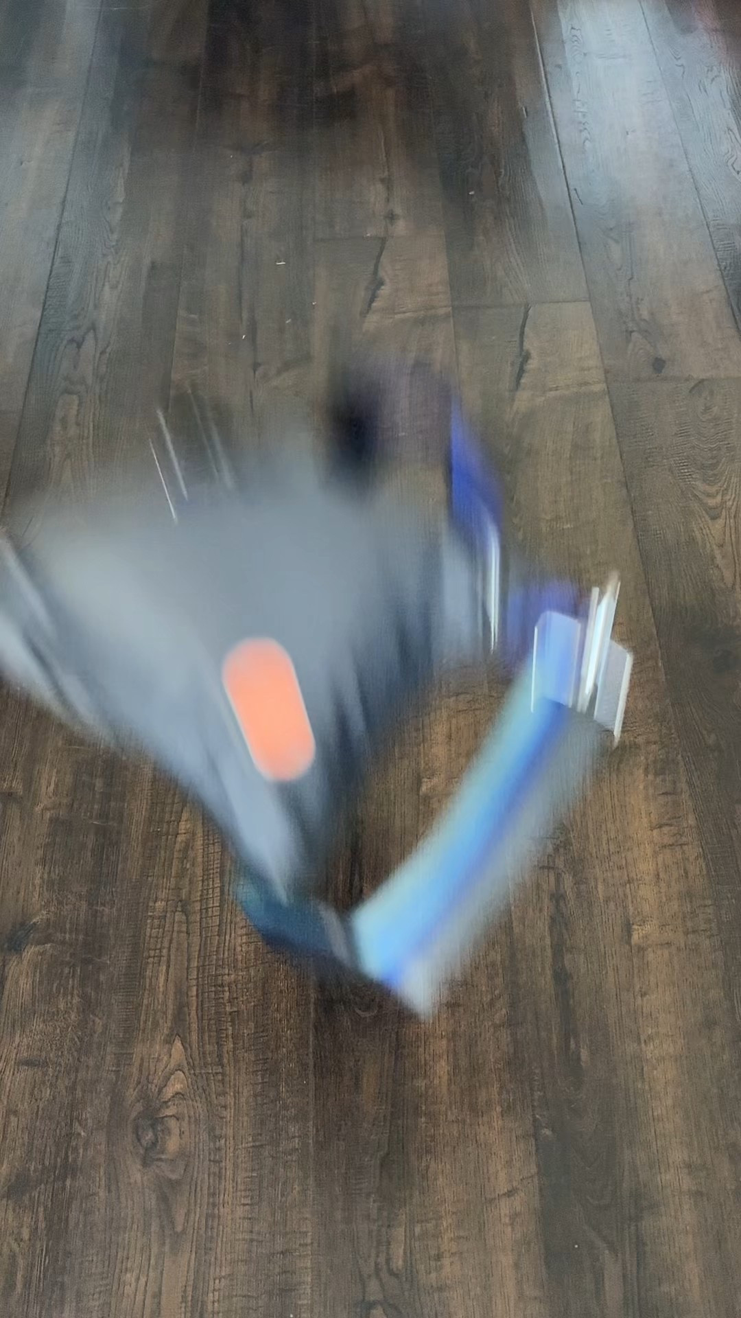 Shorty love is on sale for Black Friday!

#LTKCyberWeek #LTKSaleAlert #LTKHoliday