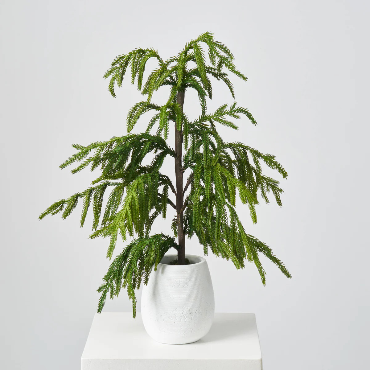 Lifelike Real Touch Norfolk Faux Tree Christmas Decor in White Concrete Planter Christmas Arrange... | Darby Creek Trading