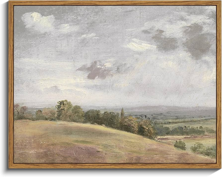 InSimSea Framed Canvas Wall Art, Vintage Decor - Landscape, Farmhouse Art for Living Room & Bedro... | Amazon (US)