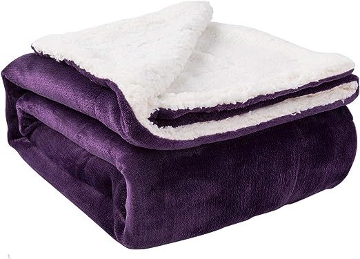 NANPIPER Sherpa Blanket Twin Thick Warm Blanket for Winter Bed Super Soft Fuzzy Flannel Fleece/Wo... | Amazon (US)