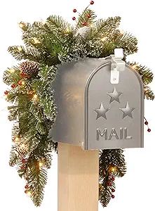 National Tree 3 Foot Glittery Mountain Spruce Mailbox Swag with White Tipped Cones, Red Berries a... | Amazon (US)