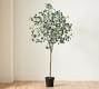 Faux Silver Dollar Eucalyptus Tree | Pottery Barn (US)