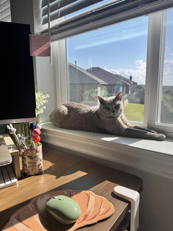 By Anthropologie Icon Desk Mousepad | Anthropologie (US)