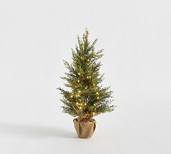 Faux Lit Cedar Berry Pine Tree | Pottery Barn (US)