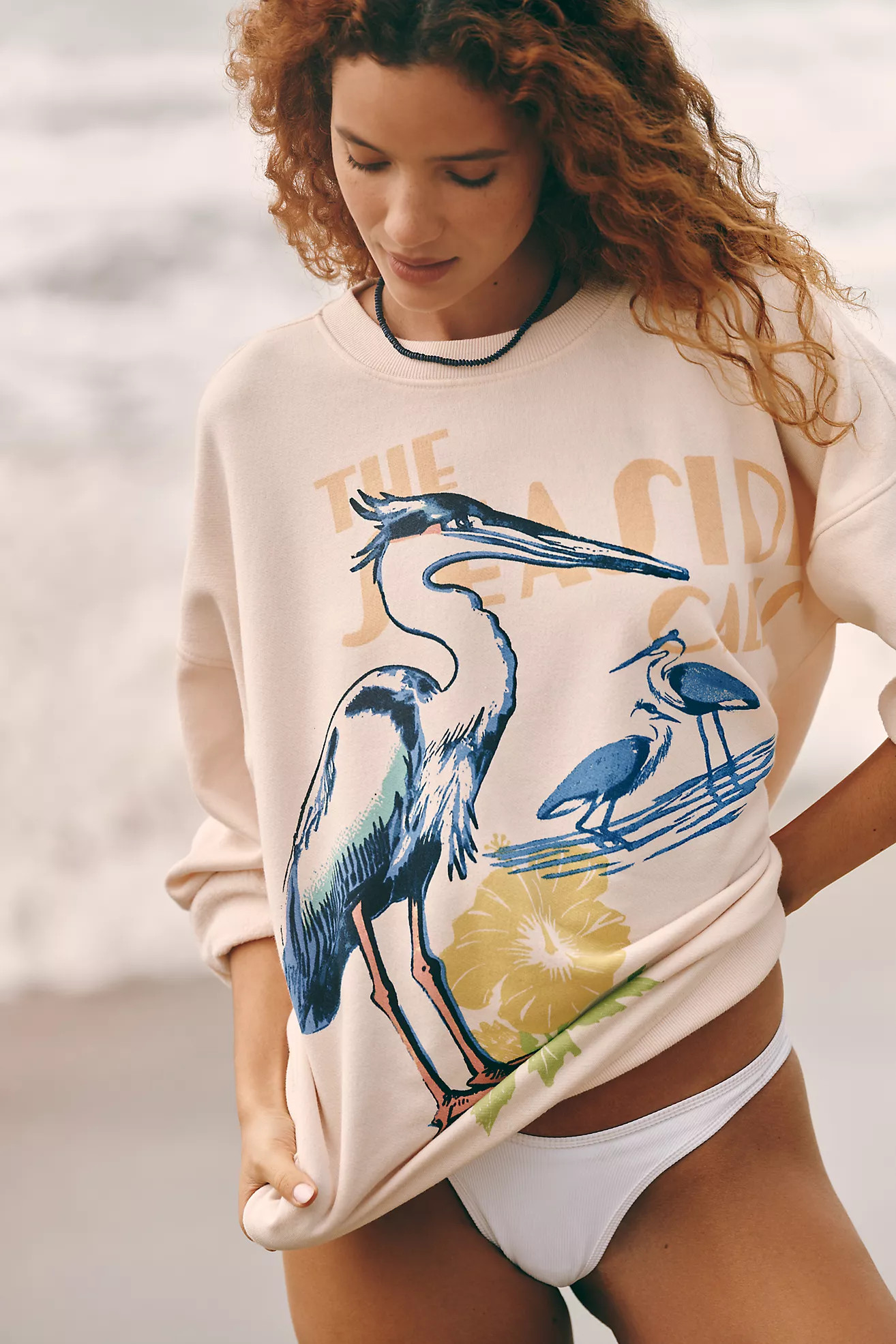 Celandine Crew-Neck Oversized Sweatshirt | Anthropologie (US)