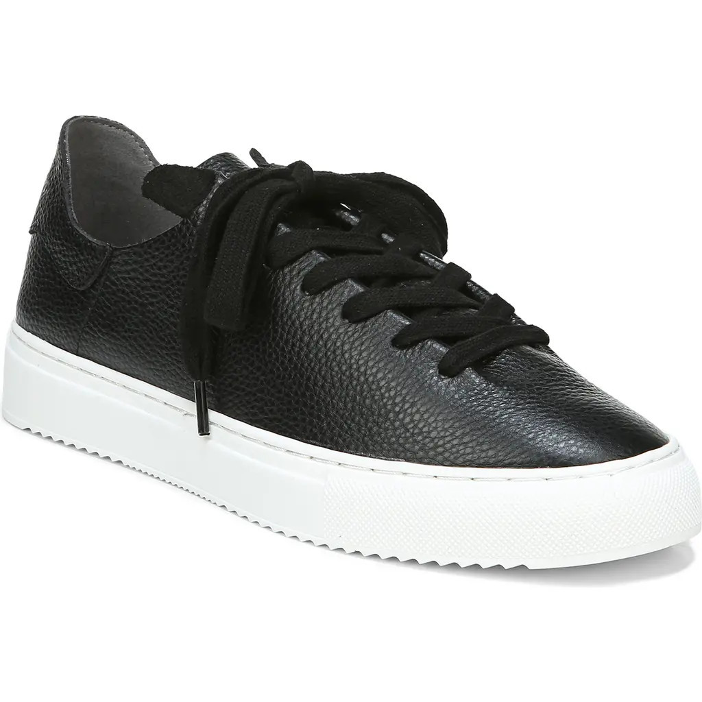 Sam Edelman Poppy Sneaker in Black at Nordstrom, Size 9.5 | Nordstrom