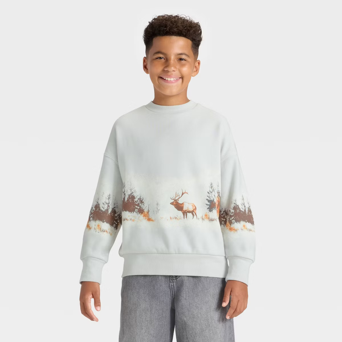 Boys' Scenic Graphic Fleece Crewneck Sweatshirt - art class™ | Target