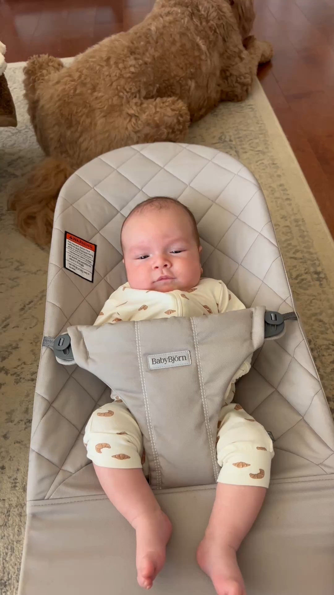 This bouncer has been my saving grace to keep baby busy and happy! 🤍 

#LTKBaby #LTKFamily