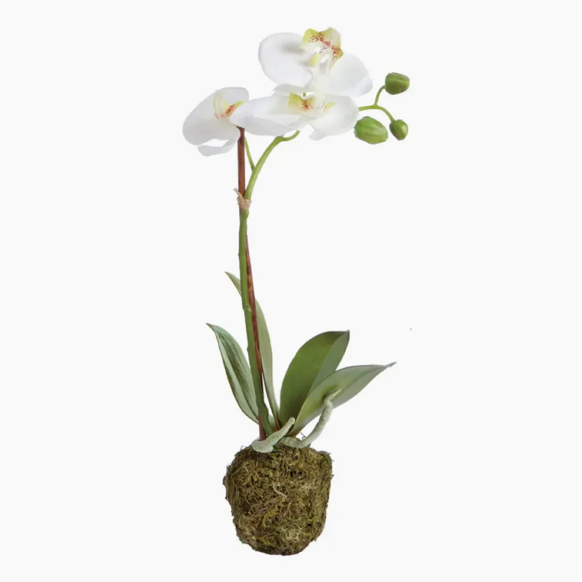 15" Faux Orchid Drop-In | Susan Gordon Pottery