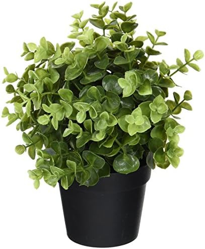 Amazon.com - Ikea Artificial Potted Plant, Jade, 9.5 Inch - | Amazon (US)
