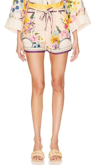 Adisson Short in Multicolor | Revolve Clothing (Global)