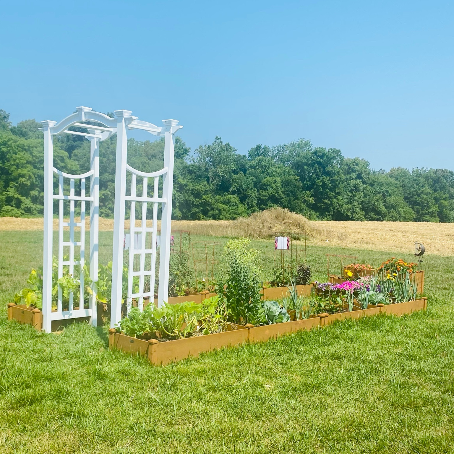 Raised garden bed and trellis 

#LTKhome #LTKSeasonal