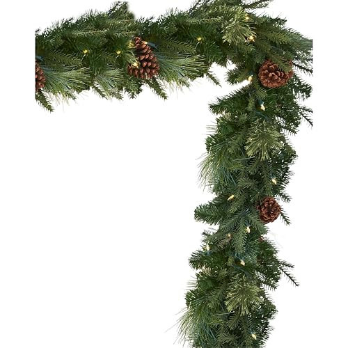 Balsam Hill Mixed Evergreen Christmas Garland - Traditional Greenery Garland with Battery-Operated LED Clear Lights Available in Multiple Sets for Indoor and Outdoor Holiday Decorating, 9' | Amazon (US)