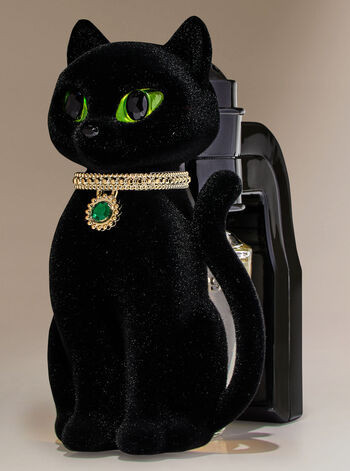 Fancy Cat Nightlight


Wallflowers Fragrance Plug | Bath & Body Works