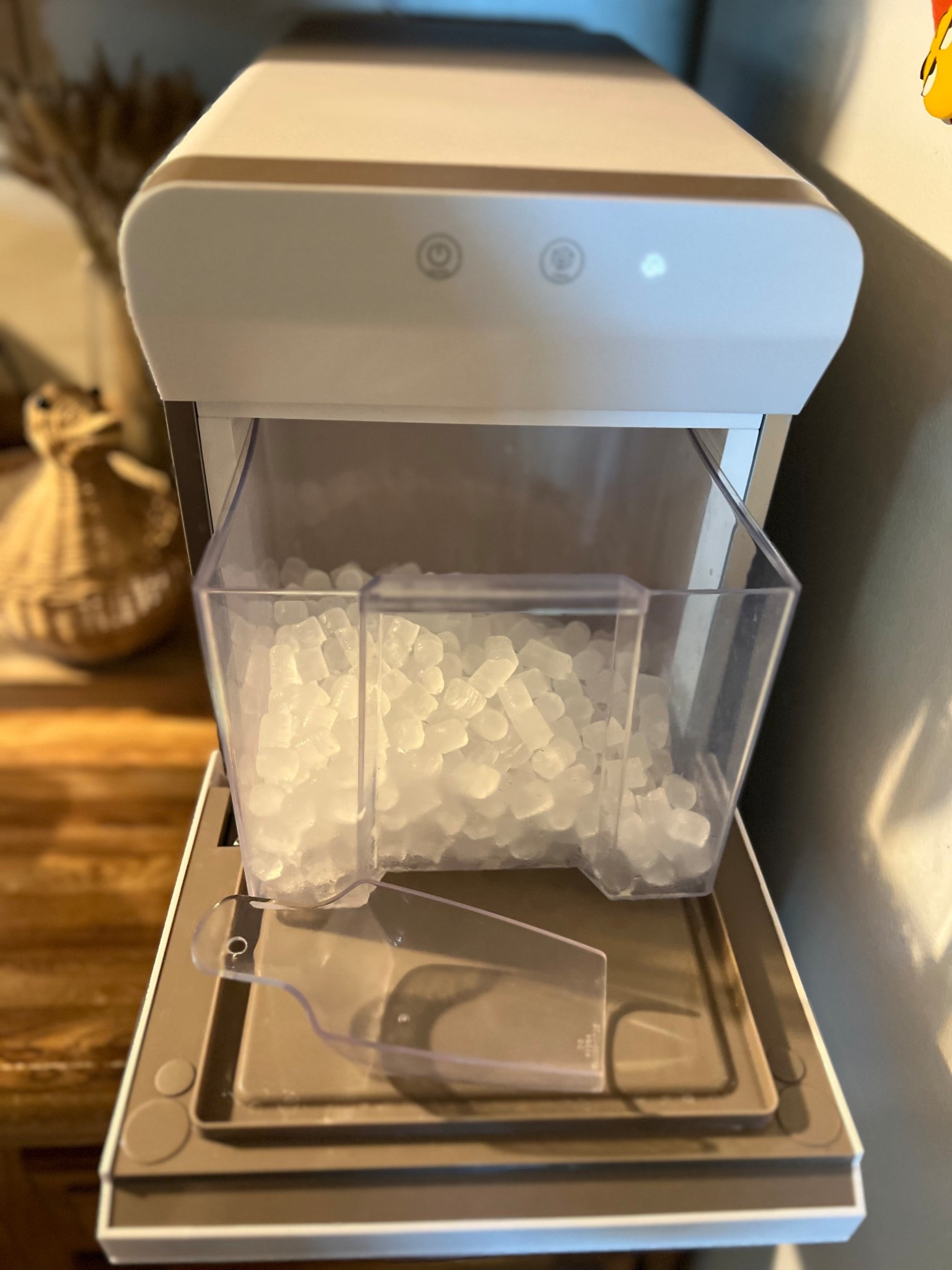 Prime day deal - Nugget ice maker! This is our most used Amazon purchase 

#LTKHome #LTKFamily #LTKSaleAlert