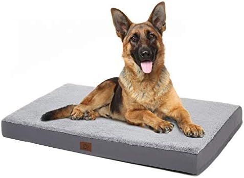 Eterish Large Orthopedic Dog Bed for Medium, Large Dogs up to 75 lbs, 3 inches Thick Egg-Crate Fo... | Amazon (US)