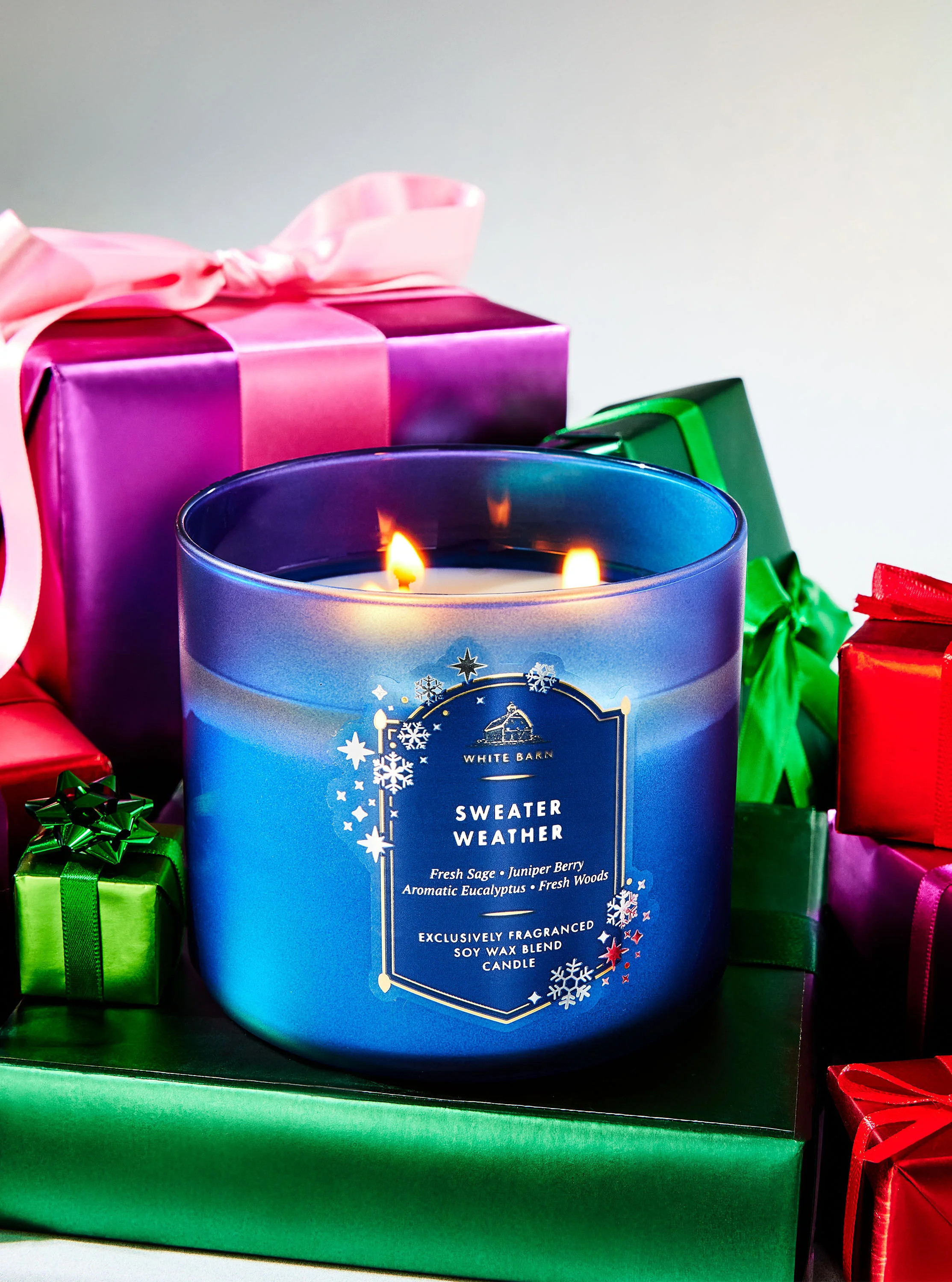 White Barn


Sweater Weather


3-Wick Candle | Bath & Body Works