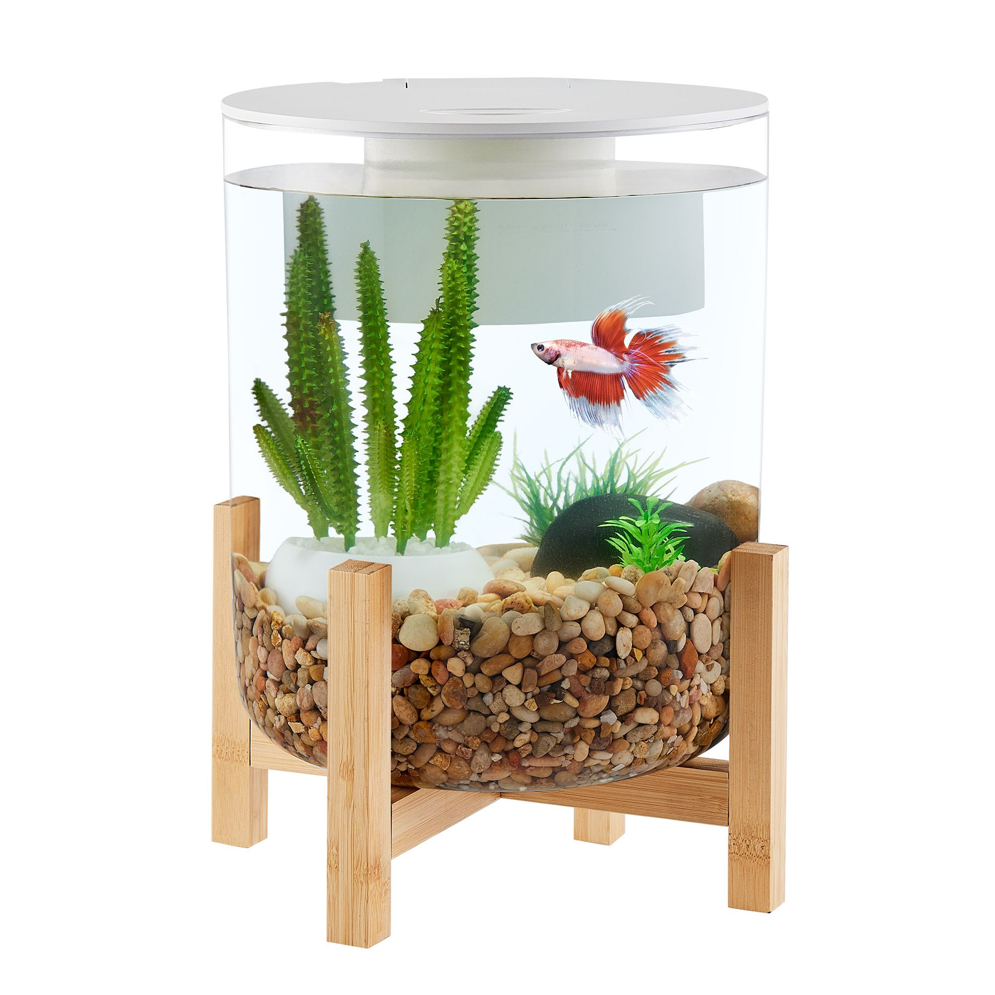 Top Fin® Bamboo Base Aquarium - 3 Gallon | PetSmart