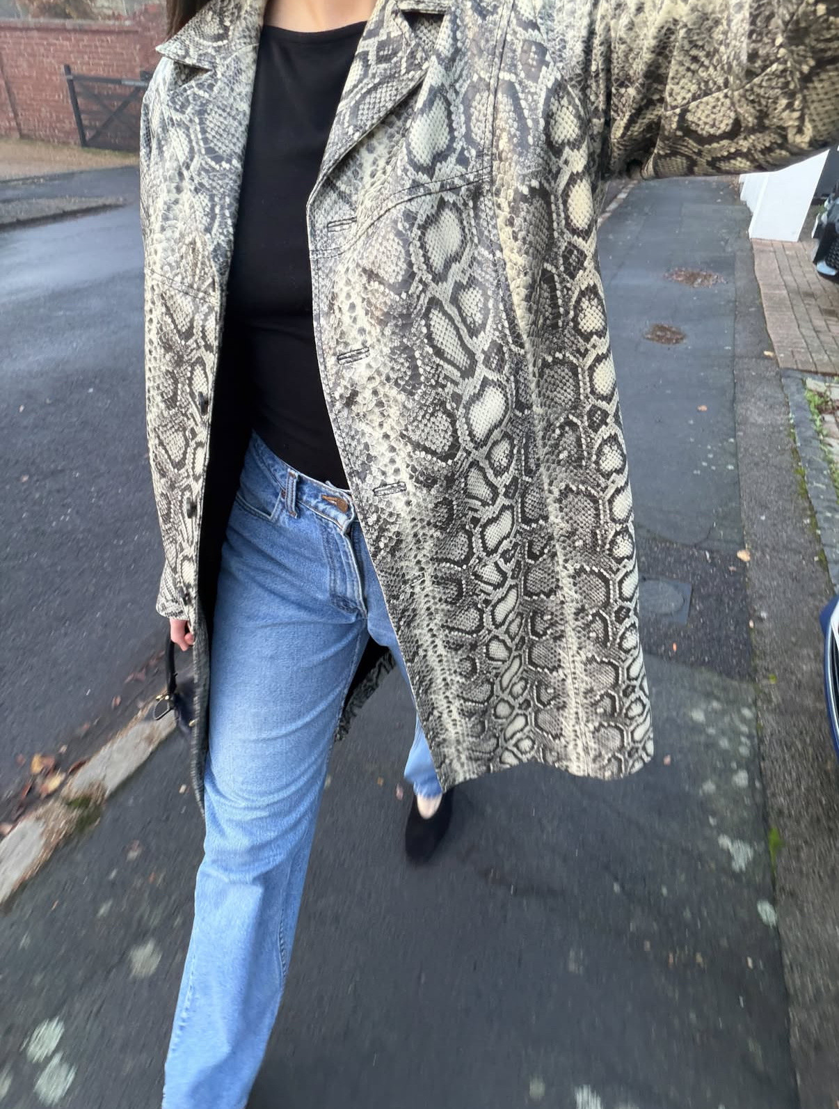 An animal print favourite - this snake print coat from Whistles is old, but I’ve linked similar below

#LTKwinter #LTKstyletip