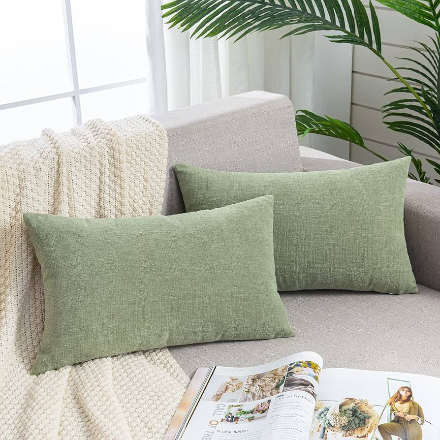 Lumbar Support Pillow Decorative Rectangle Throw Pillow Covers 12"x20" Inch Set of 2,Super soft C... | Amazon (US)