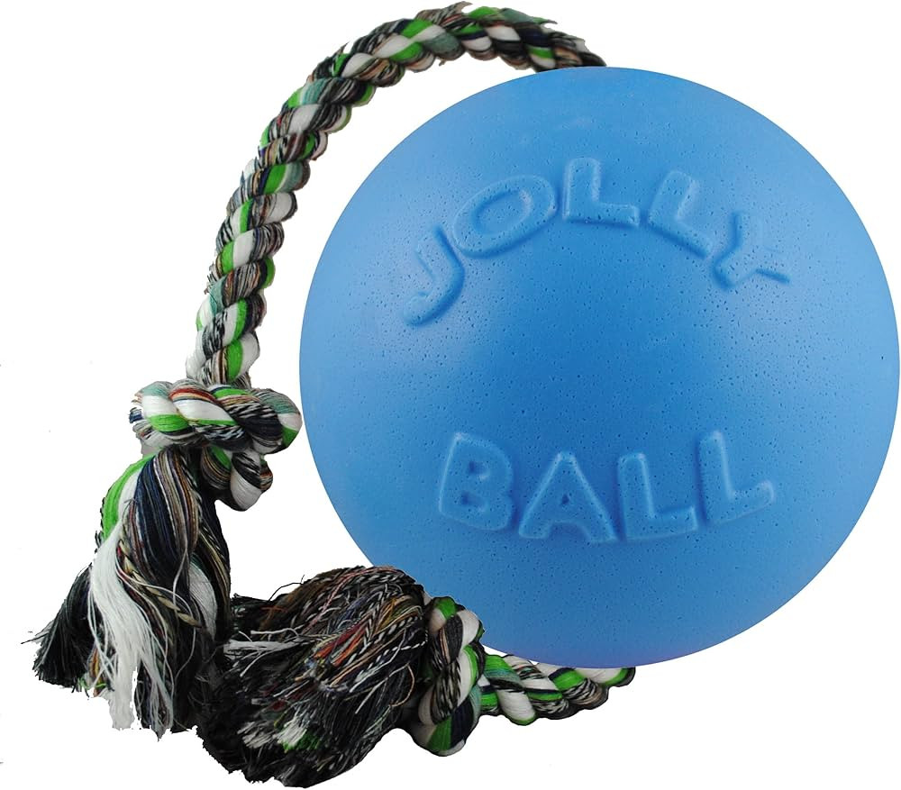 Jolly Pets Romp-n-Roll Rope and Ball Dog Toy, 8 Inches/Large, Blueberry, All Breed Sizes | Amazon (US)