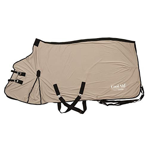 Weaver Equine CoolAid Equine Cooling Blanket | Amazon (US)