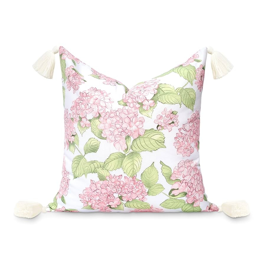 Hofdeco Premium Coastal Patio Indoor Outdoor Throw Pillow Cover Only, 18"x18" Water Repellent for... | Amazon (US)